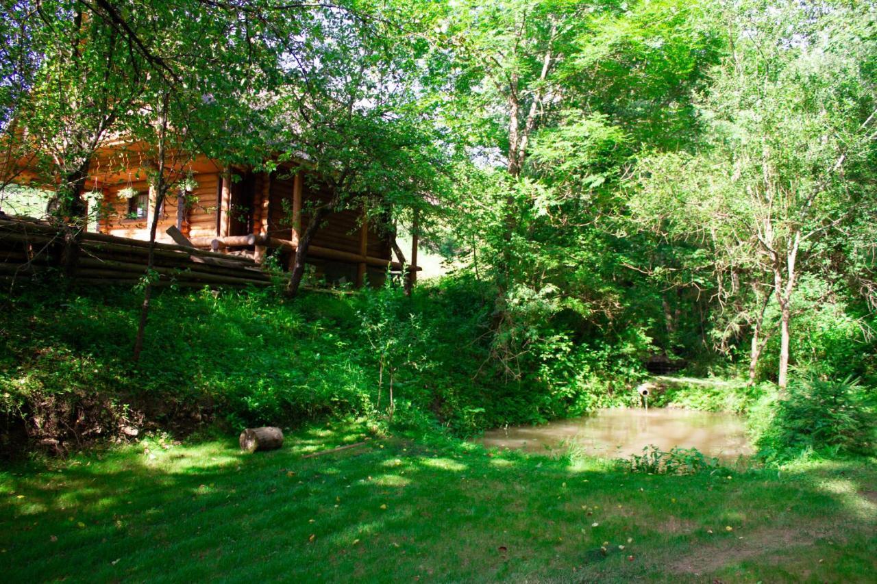 Villa Тихий Куточок à Izki Extérieur photo