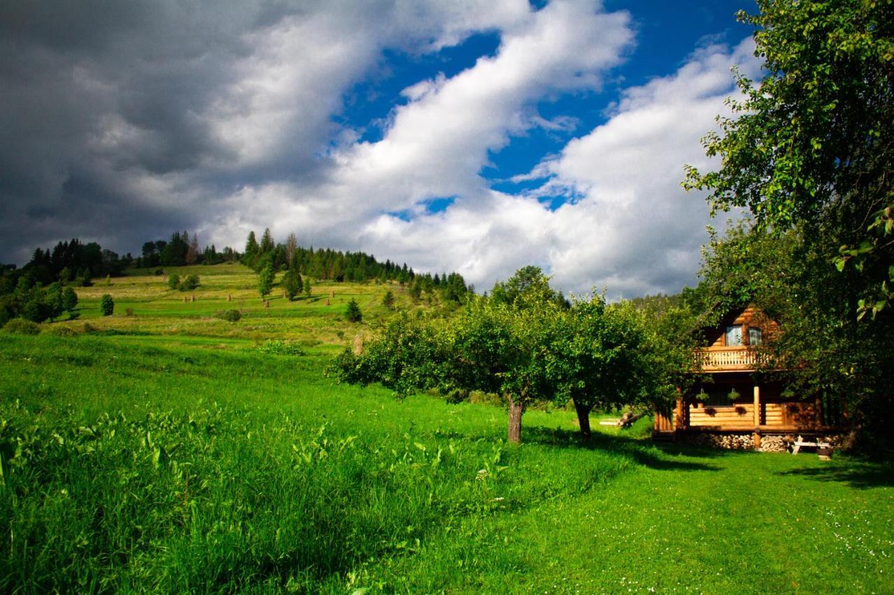 Villa Тихий Куточок à Izki Extérieur photo