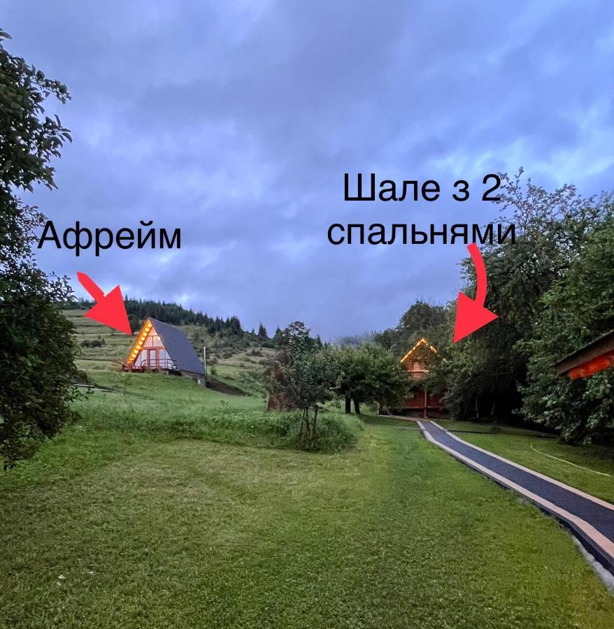 Villa Тихий Куточок à Izki Extérieur photo