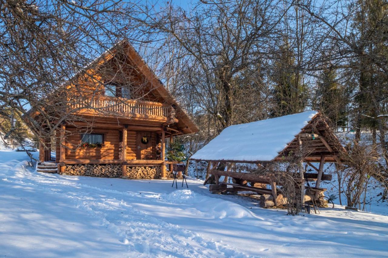 Villa Тихий Куточок à Izki Extérieur photo