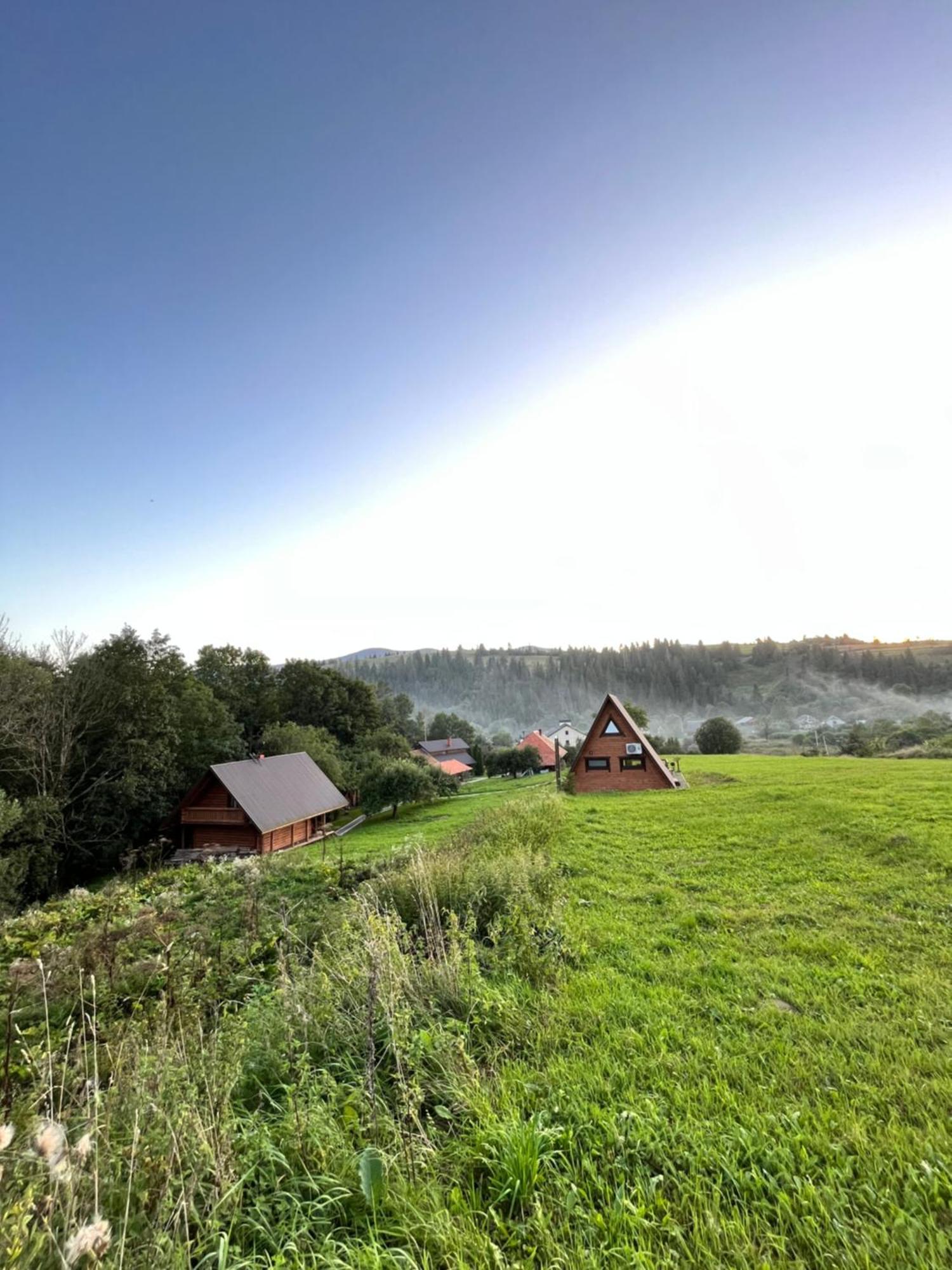 Villa Тихий Куточок à Izki Extérieur photo