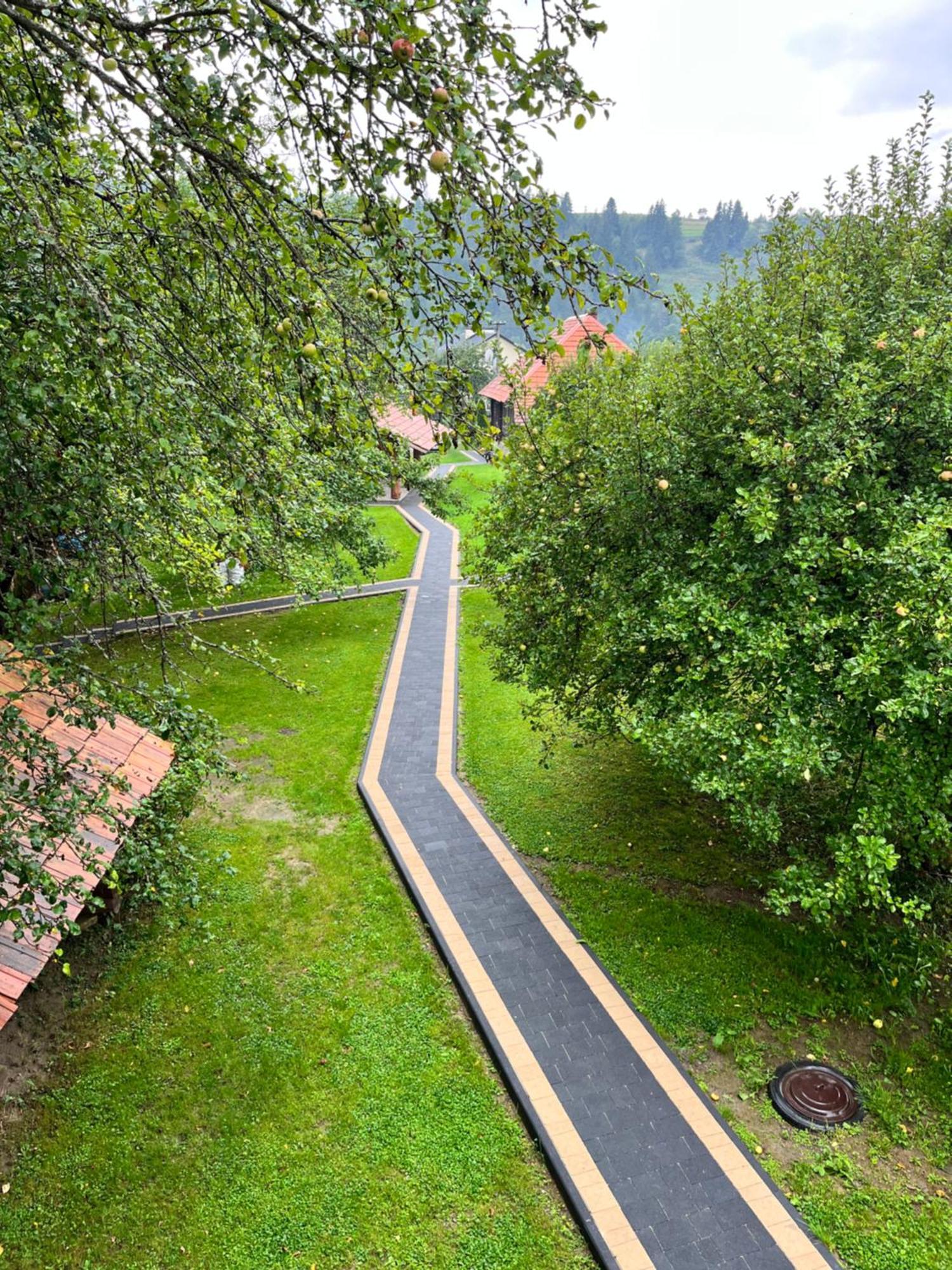 Villa Тихий Куточок à Izki Extérieur photo